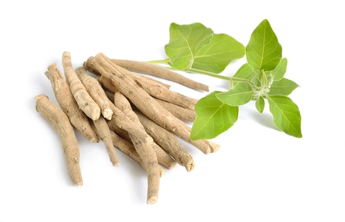 Ashwagandha can help your body product testosterone and reduce stress.