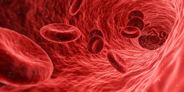 Viagra works by increasing blood flow in the penis.