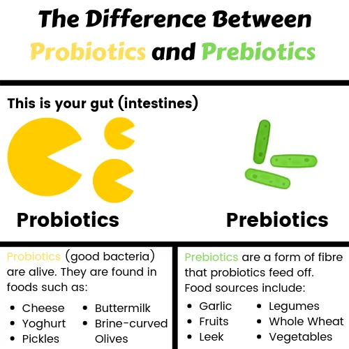 What is the difference between a prebiotic and a probiotic?