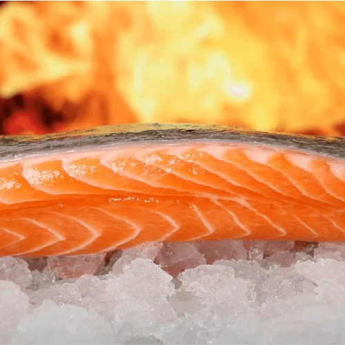 fresh salmon precooking