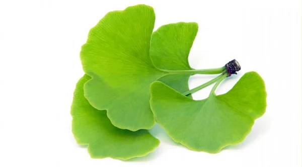 Ginkgo biloba is thought to boost phallic blood flow.