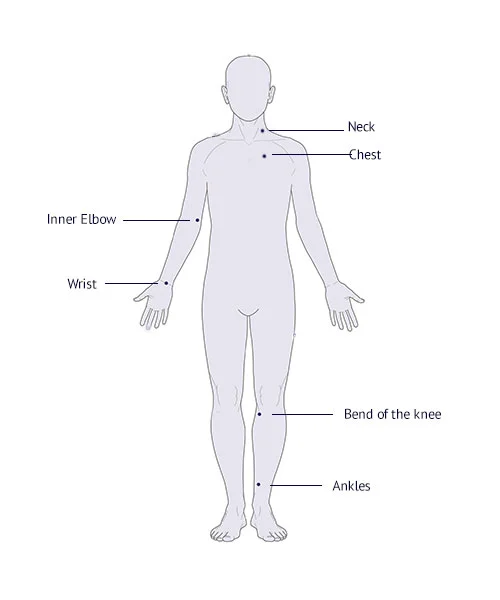 Image showing pulse points on human body.