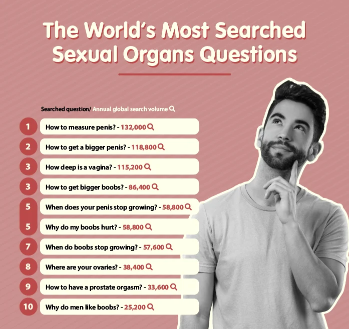 The world's most searched sexual organs questions.