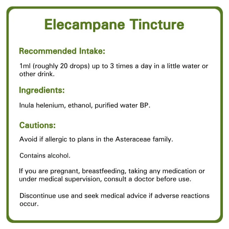 Elecampane tincture detailed information. Recommended intake, ingredients and cautions.