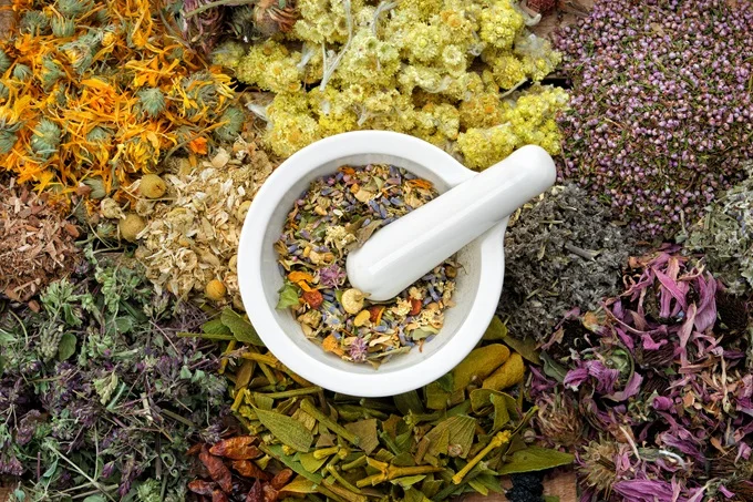 Herbs such as Ashwagandha, Lemon balm, Moringa and Cramp Bark have been used in both ancient and modern natural medicine.